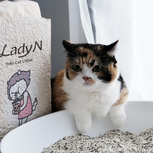 Lady N Tofu Cat Litter Dust-Free Low Tracking Cat Litter Pellets