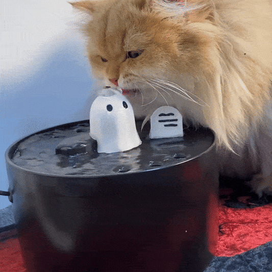 52.8oz/1.5L Ghost Drinking Fountain-Elevate Your Cat's Hydration